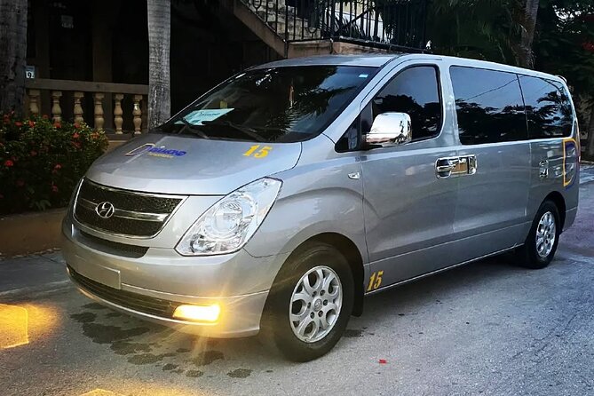 Private transfer between Punta Cana airport and Riu hotel - Luggage Rules, Oversized Bags, and Child Seat Reality Checks