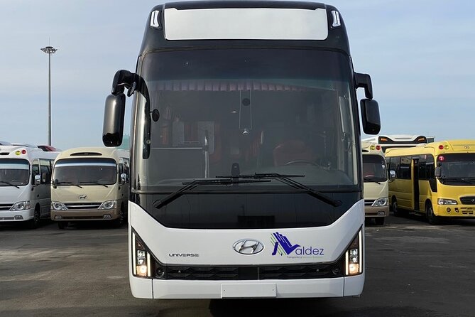 Private Transfer From or to Punta Cana Airport to hotels in Bávaro - Leaving Punta Cana: same logic in reverse