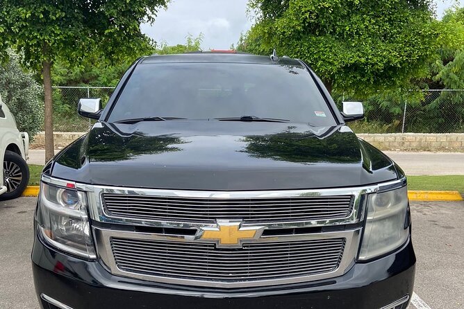 Private Transfer from or to Punta Cana and Bavaro - Getting Met at the Airport: 30-Minute Waiting and the Name Plate System