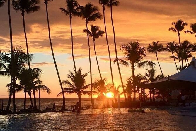 Private Transfer From Punta Cana Airport to Cap Cana, Cabeza de Toro and Bavaro - Meeting Your Driver at Punta Cana Airport, No Waiting Game