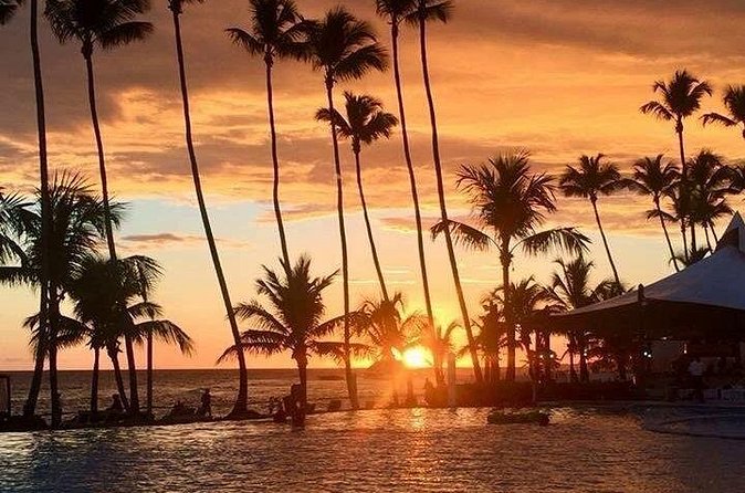 Private Transfer From Punta Cana Airport to Cap Cana, Cabeza de Toro and Bavaro - Price and Value: Why $60 Per Group Can Work Out Well