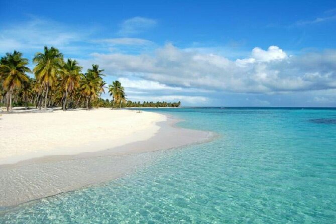 Private Transfer From Punta Cana Airport to Cap Cana, Cabeza de Toro and Bavaro - Quick Practical Tips to Make It Go Smoother