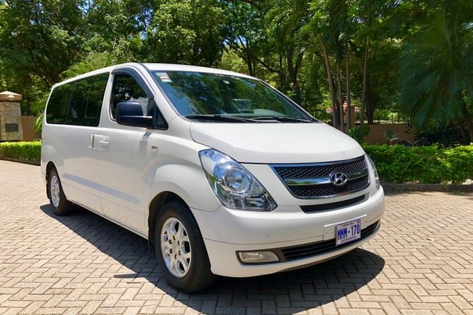 Private Transfer from Punta Cana Airport to Hotels - Key details that really matter