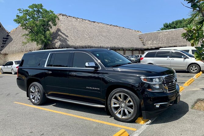 Private Transfer from Punta Cana Airport to Uvero Alto RoundTrip - Why This Private Punta Cana Transfer Works