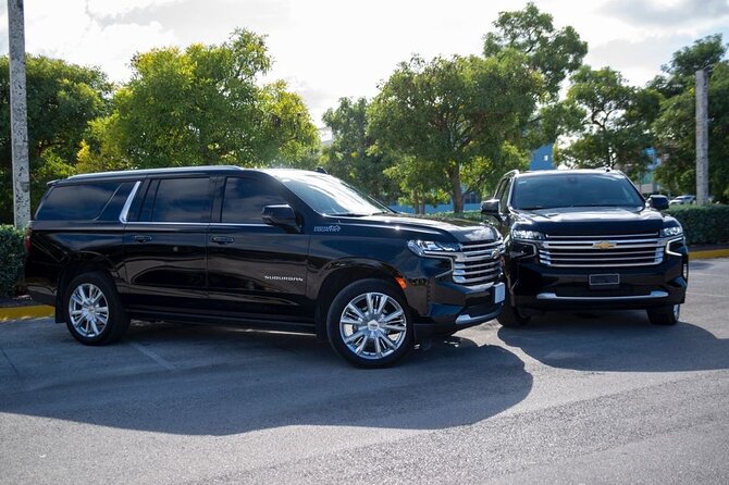 Private Transfer from Punta Cana Airport to Uvero Alto RoundTrip - Airport Pickup at Punta Cana: The Part That Should Feel Easy