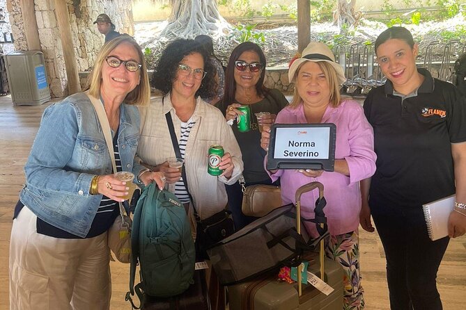 Private Transfer from Punta Cana Airport to Your Hotel - The airport access reality: how to avoid paying twice