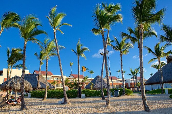 Private Transfer from Punta Cana Airport to Zona Hotels - Punta Cana Airport Meet-Up That Saves Your Energy