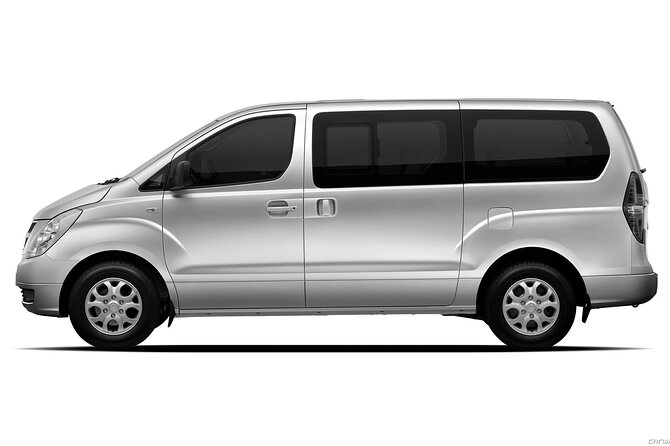 Private Transfer in Punta Cana from Airport and Hotels - Where things can go wrong: missed pickups, wrong drops, and extra charges