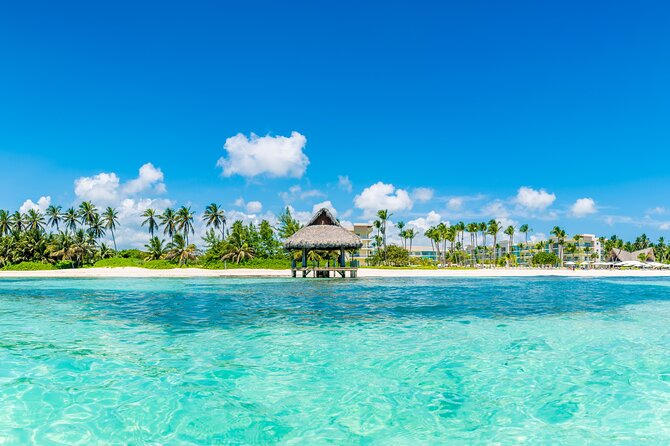 Private Transfer Punta Cana Airport PUJ - Punta Cana Bavaro Veron - Communication quality: what you should do before you land