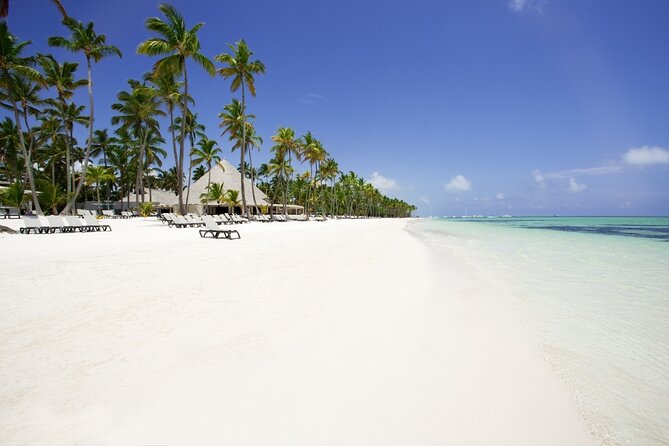 Private Transfer Punta Cana Airport to/from Barcelo Bavaro Beach - The 25-Minute Ride: Comfort, A/C, and No Detours