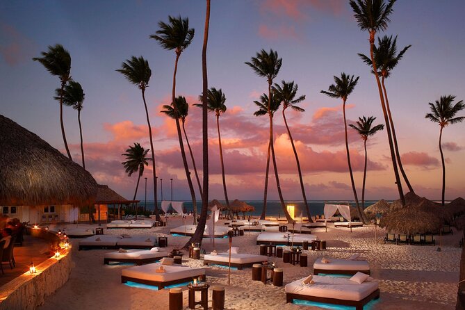 Private Transfer Punta Cana Airport to/from Paradisus Palma Real - From PUJ to Paradisus Palma Real: What This Transfer Really Feels Like
