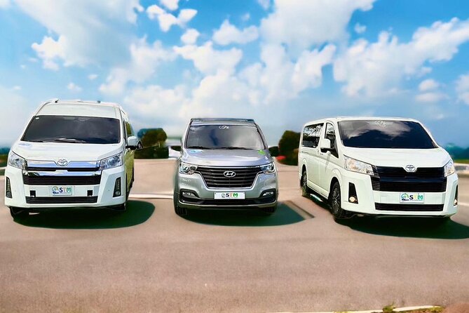 Private Transfer to/from Punta Cana Airport - Price That Works for Groups (Not Just Solo Travelers)
