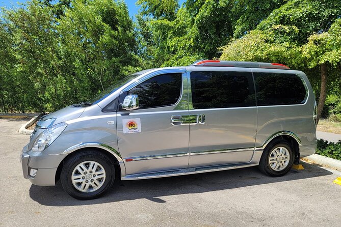 Private Transfers from Punta Cana Airport to hotels in DR - The return trip: your pickup for the airport in the right time window
