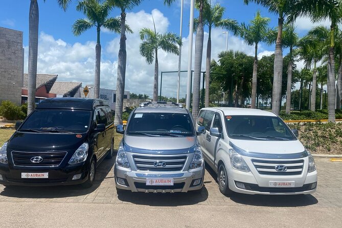 Private Transfers From Punta Cana To Bavaro - Getting to Bavaro Hotels Smoothly (and What to Expect at Arrival)
