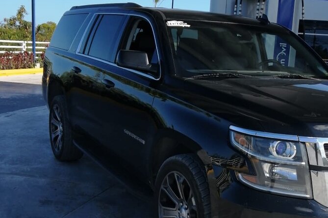 Private Transfers Punta Cana Airport and Cap Cana Hotels - Who This Transfer Is Best For