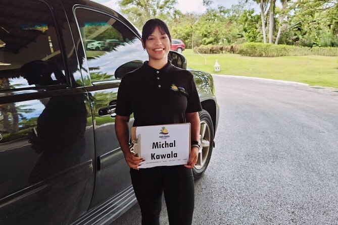 Private Transfers Puntacana Airport to Romana, Bayahibe Round Trip - Private Means Your Timing Stays Yours
