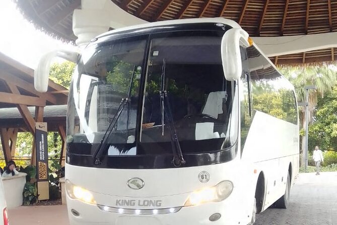 private transport - Comfort and Practicalities: What You’ll Feel During the Ride
