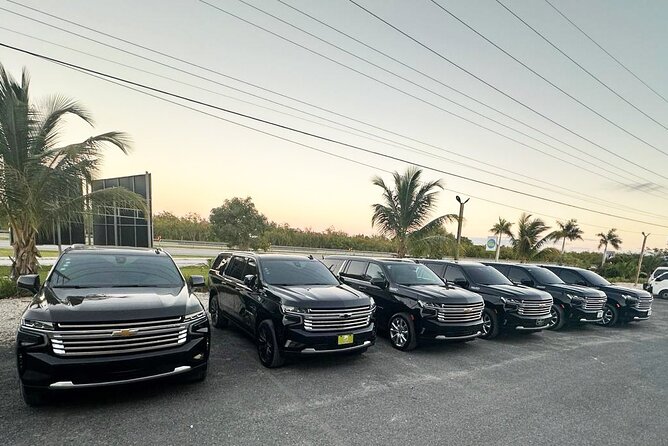 Private VIP Shuttle Service in Punta Cana - Airport pickup: finding your driver fast