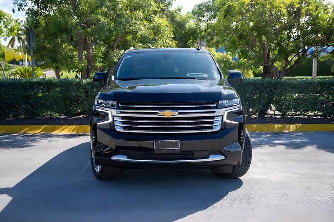 Private VIP Shuttle Service in Punta Cana - Should you book this Punta Cana VIP Shuttle Service?