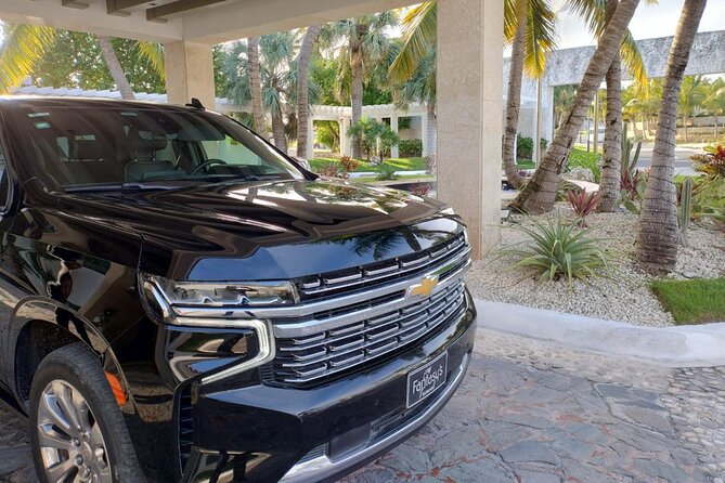 Private VIP Shuttle Service in Punta Cana - Hotel drop-off that supports smooth check-in