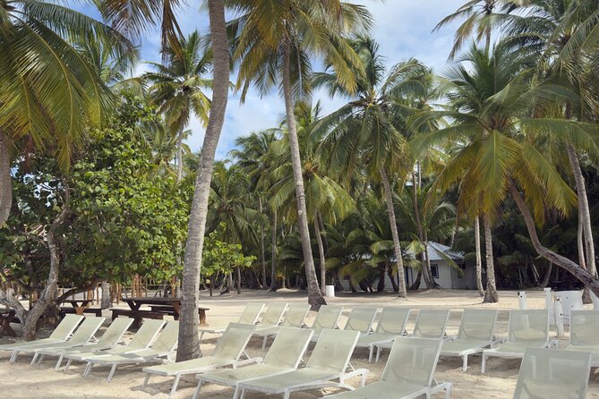 PRIVATE VIP tour Saona Island with Snorkeling, Starfish, Turtles - What You’ll Be Doing From Morning to Pool-Time (Without the Rush)