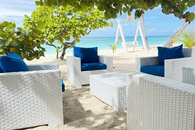 PRIVATE VIP tour Saona Island with Snorkeling, Starfish, Turtles - Price and Value: Is $440 per Person Actually a Smart Trade
