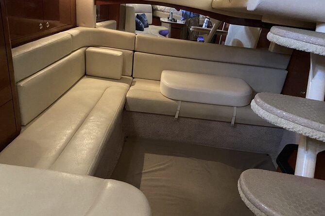 Private Yacht in Punta Cana, Unlimited Drinks and HipHop Music - Dolphins Areas: Watching from the Boat Without Turning It Into a Rush