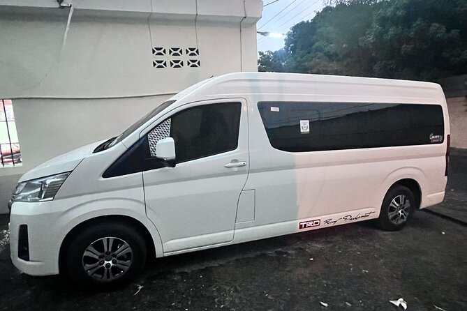 Puerto plata airport transfers to lifestyle resorts ect - Booking and Mobile Ticket: What You’ll Do Before You Arrive