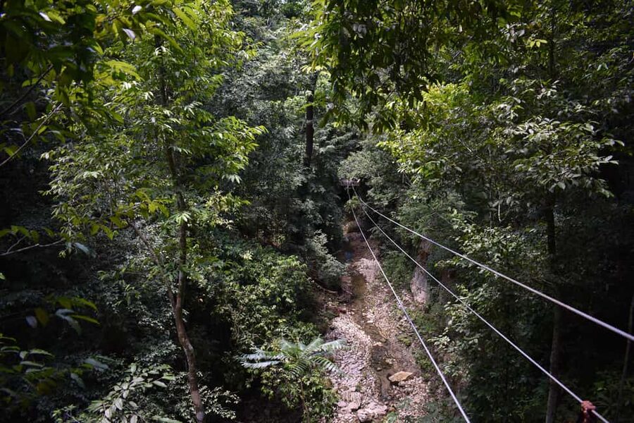 Puerto Plata/Amber Cove: Zipline and Waterfalls with Lunch - Key Things That Make This Tour Worth Your Time