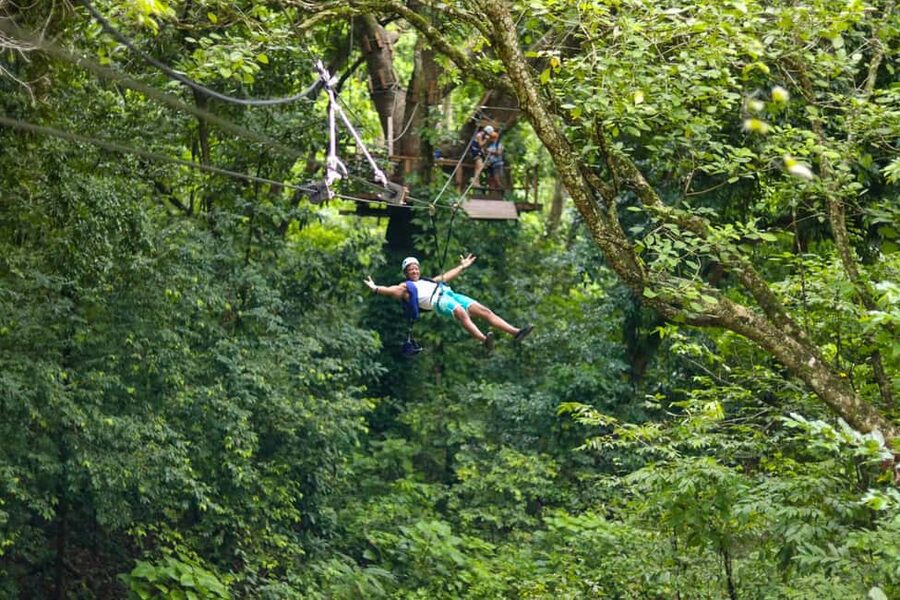 Puerto Plata/Amber Cove: Zipline and Waterfalls with Lunch - The Rainforest Hike to Zipline #1: Expect Uneven Steps