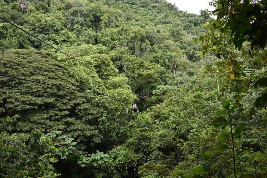 Puerto Plata/Amber Cove: Zipline and Waterfalls with Lunch - What to Bring (And What You’ll Thank Yourself For)