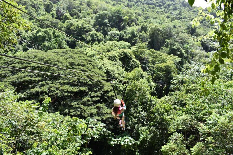 Puerto Plata/Amber Cove: Zipline and Waterfalls with Lunch - Port Pickup at Amber Cove and Taino Bay: Don’t Miss the Window