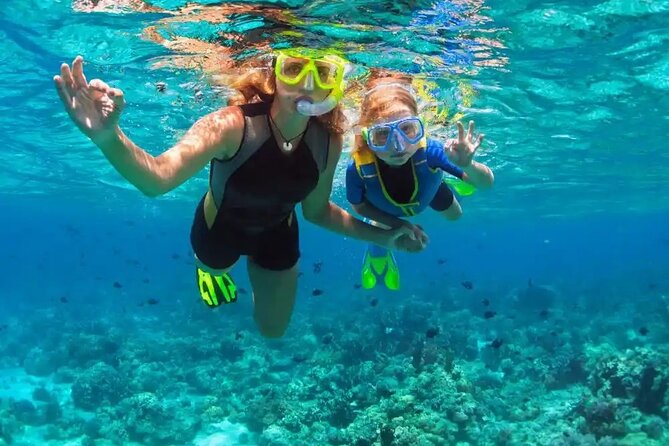 Puerto Plata Catamaran Cruise with Snorkeling, BBQ & Open Bar - Potential Downsides to Know Before You Go