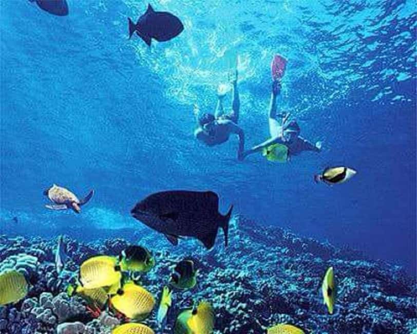 Puerto Plata: Cayo Arena Tour with Snorkeling and Mangroves - Key points worth knowing before you go