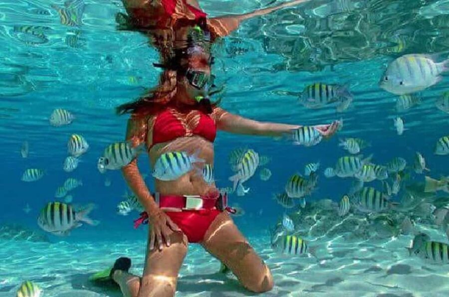 Puerto Plata: Cayo Arena Tour with Snorkeling and Mangroves - The speedboat transfer: what you gain (and what you can’t control)