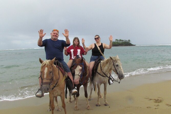 Puerto Plata City Horseback Riding Tour ,Rios,Beaches and Countryside - Horse ride time with Hans: gentle animals, real riding, moderate effort