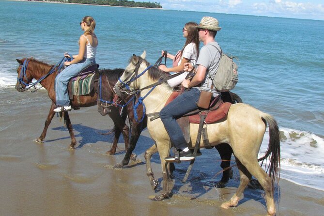 Puerto Plata City Horseback Riding Tour ,Rios,Beaches and Countryside - What hotel pickup and private transportation actually changes