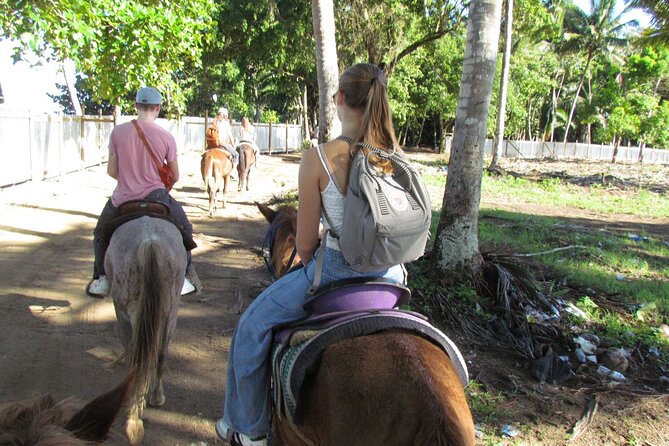 Puerto Plata City Horseback Riding Tour ,Rios,Beaches and Countryside - Weather and what to do on the day you book