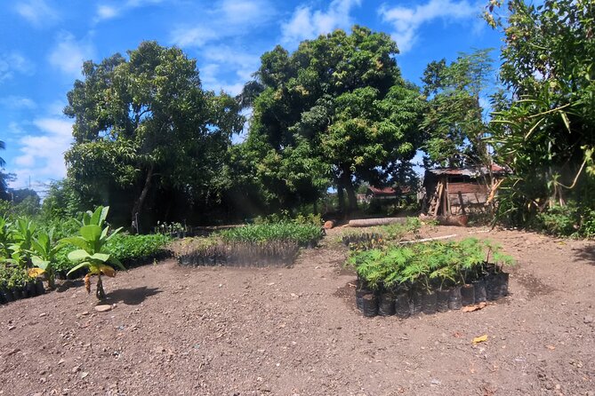 Puerto plata city tour and beach - Fortaleza San Felipe: quick fortress time with real photo potential