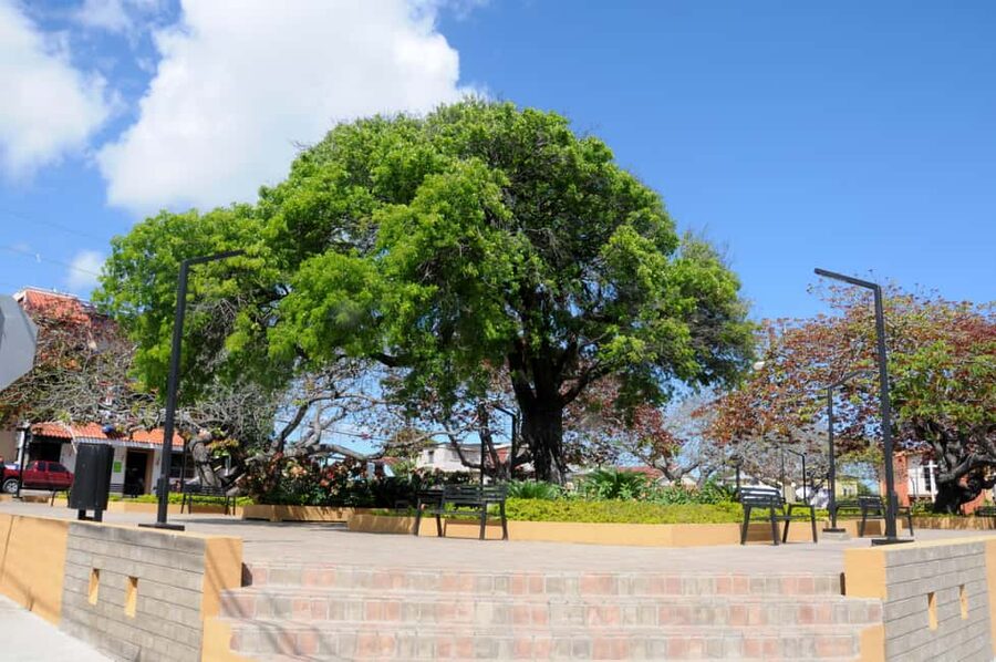 Puerto Plata City Tour and Cable Car Ride - Lunch and factory-style stops: what to expect from the pacing