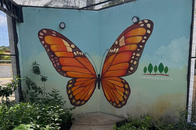 Puerto Plata City Tour with Butterfly Garden - Catedral San Felipe: a landmark stop that anchors your Puerto Plata story