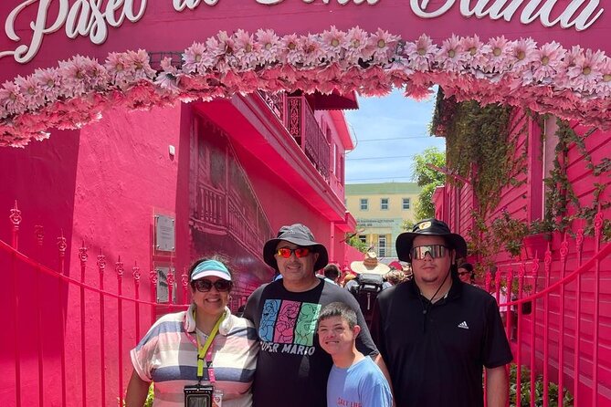 Puerto Plata City Tour with Butterfly Garden - The ride matters: comfort, WiFi, and getting the day to run right