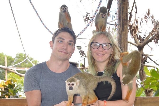 Puerto Plata City Tour with Monkeys - Why This Puerto Plata Tour Hits the Sweet Spot in 4 Hours