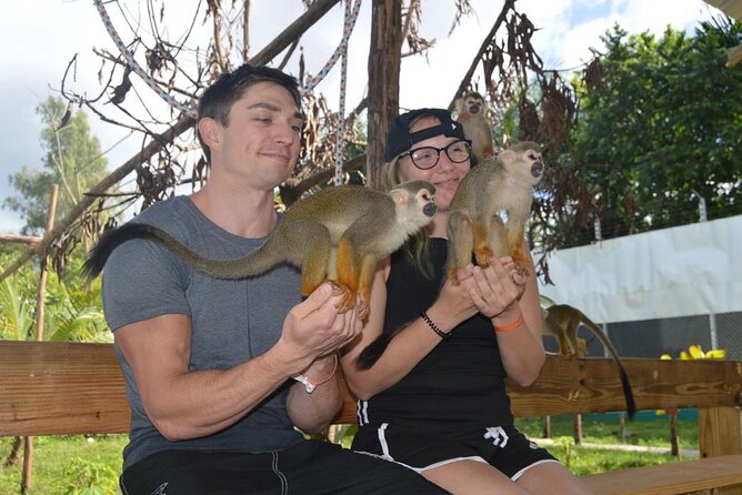 Puerto Plata City Tour with Monkeys - Gift Time Without the Stress: How to Use It Well