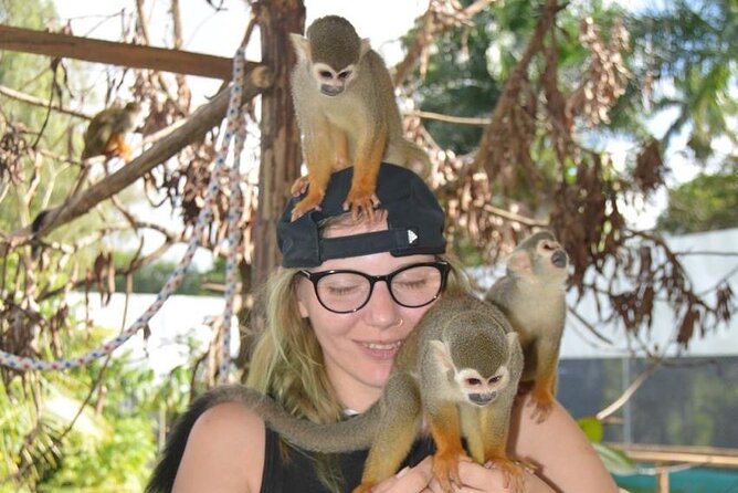 Puerto Plata City Tour with Monkeys - Imbert and Cevallos: Monkeys, Squirrels, and Fruit Plantations
