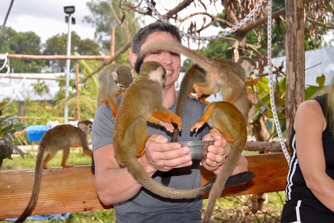 Puerto Plata City Tour with Monkeys - Getting Value From a $99 Price Tag