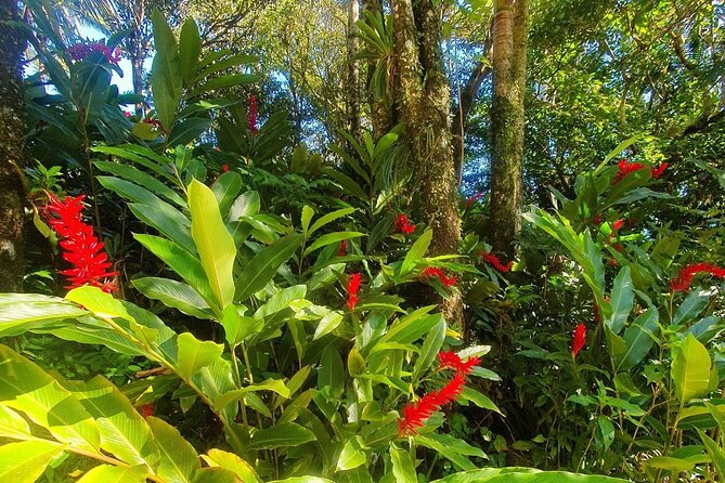 Puerto Plata City Tour with the Mount Isabel, Rum & Chocolate - The big idea: a full Puerto Plata day in one loop