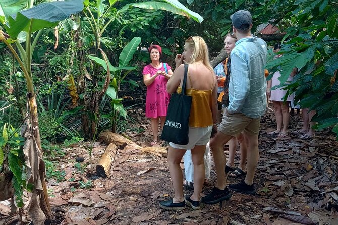 Puerto Plata Cultural City Tour – Half Day Experience - Cable car to Isabel de Torres: your best view-per-minute
