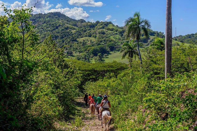 Puerto Plata: Damajagua waterfalls + Safari buggy + Horseback riding (TOP3IN1) - Safari buggy on backroads: speed with a safety net