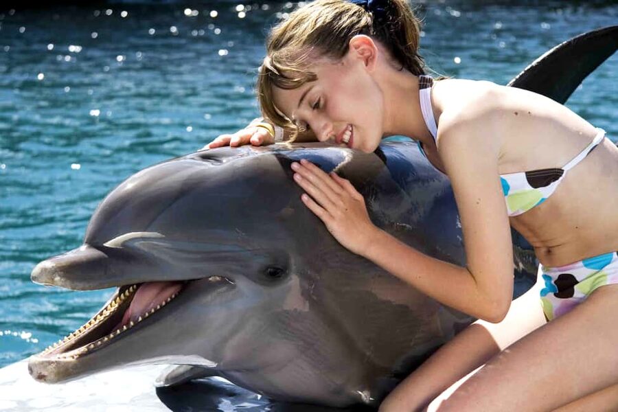 Puerto Plata: Dolphin Encounter at Ocean World - Key things to know before you go
